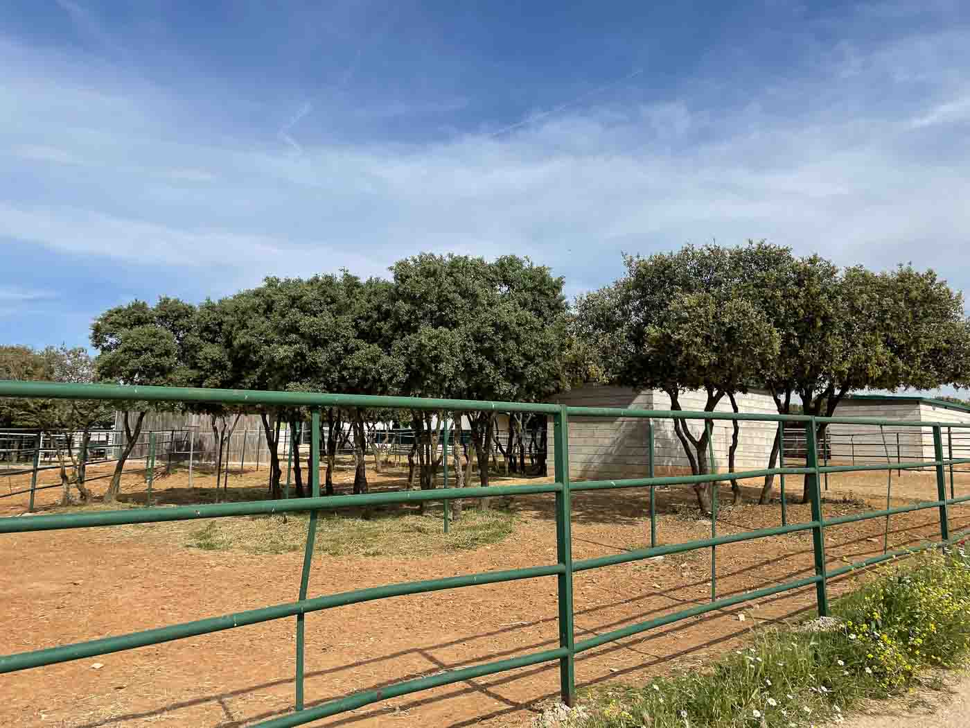 Paddocks