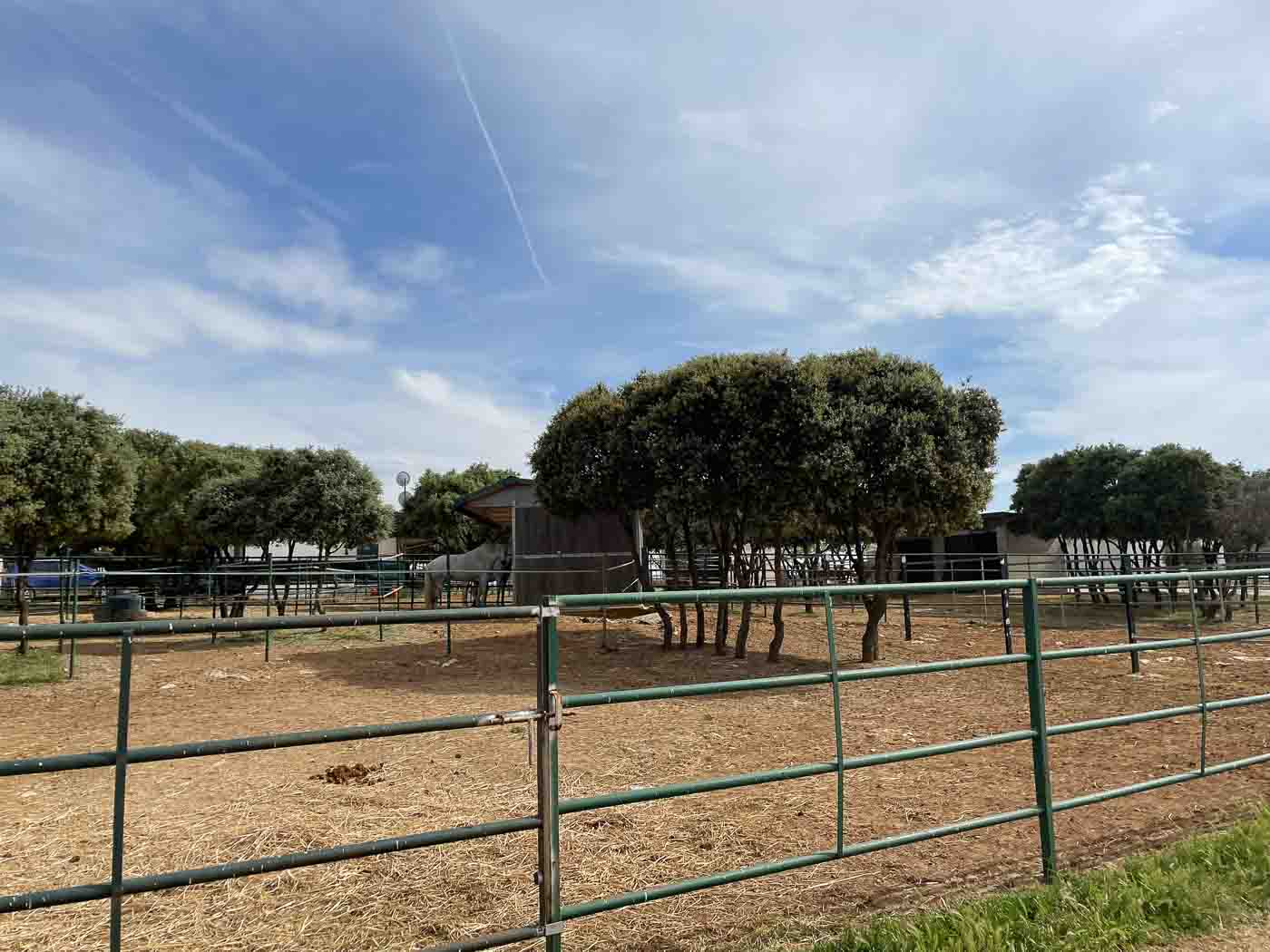 Paddocks